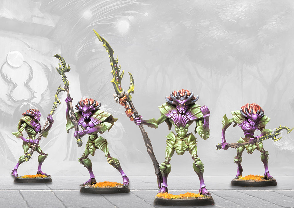 Weaver Courts: Morrowen (formerly known as Myrmidon)
