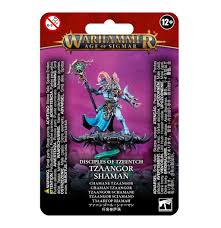 DISCIPLES OF TZEENTCH:TZEENTCH ARCANITES TZAANGOR SHAMAN ディサイプル・オヴ・ティーンチ: ツァーンゴール・シャーマン