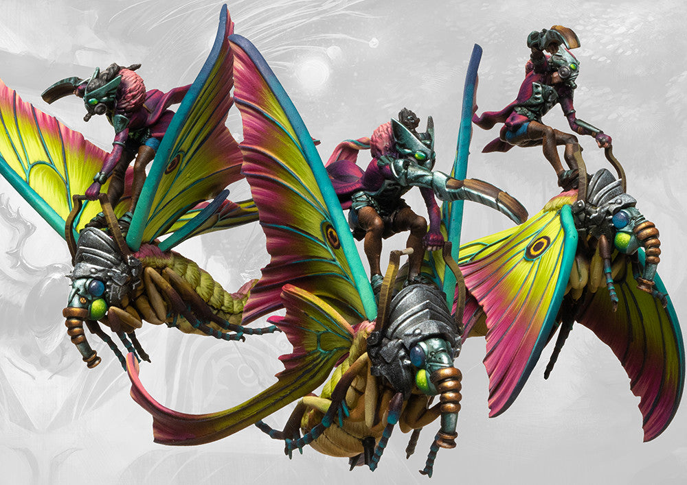 Weaver Courts: Sciathan Riders (pronounced Shkee-haan)