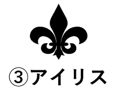 ウンズトラッカー大(赤)