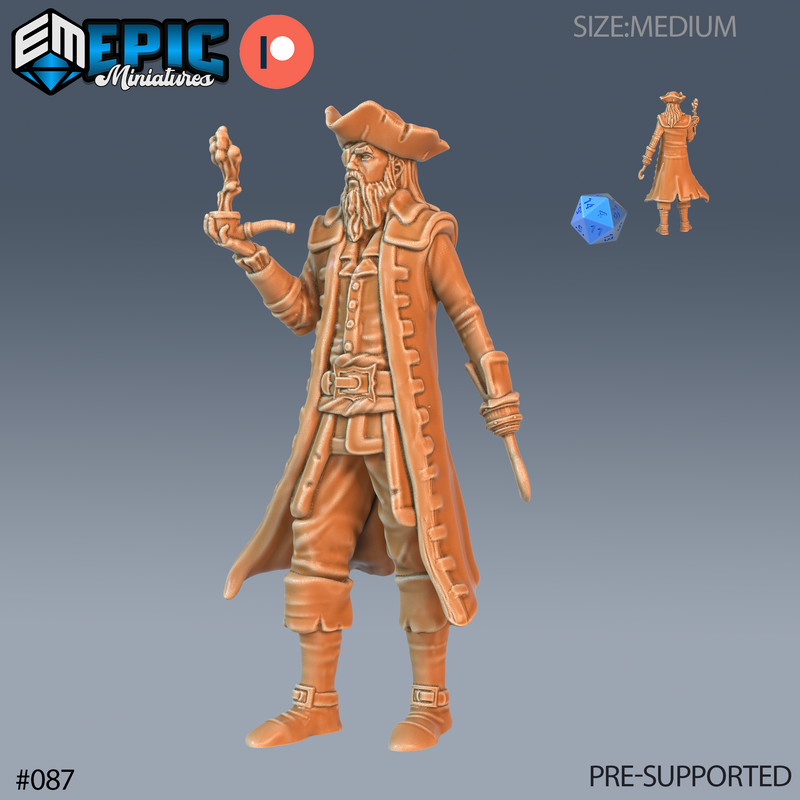 Pirate Captain Hook (Medium)