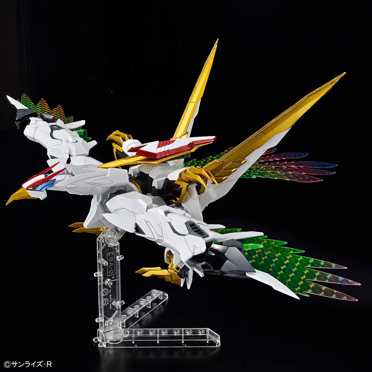 HG Amplified IMGN 龍王丸