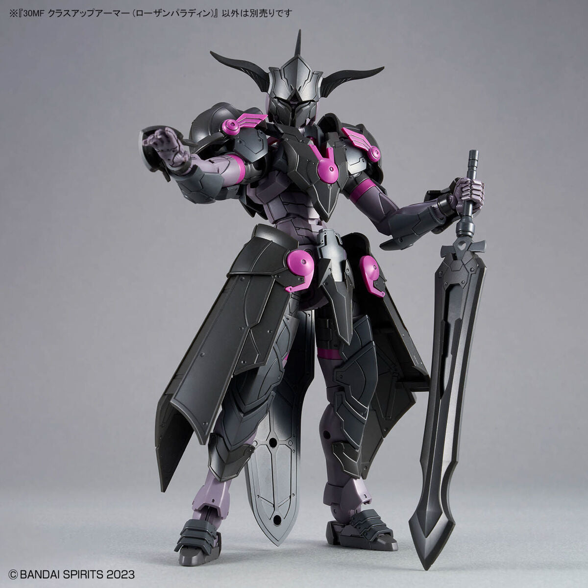 30MF クラスアップアーマー (ローザンパラディン)