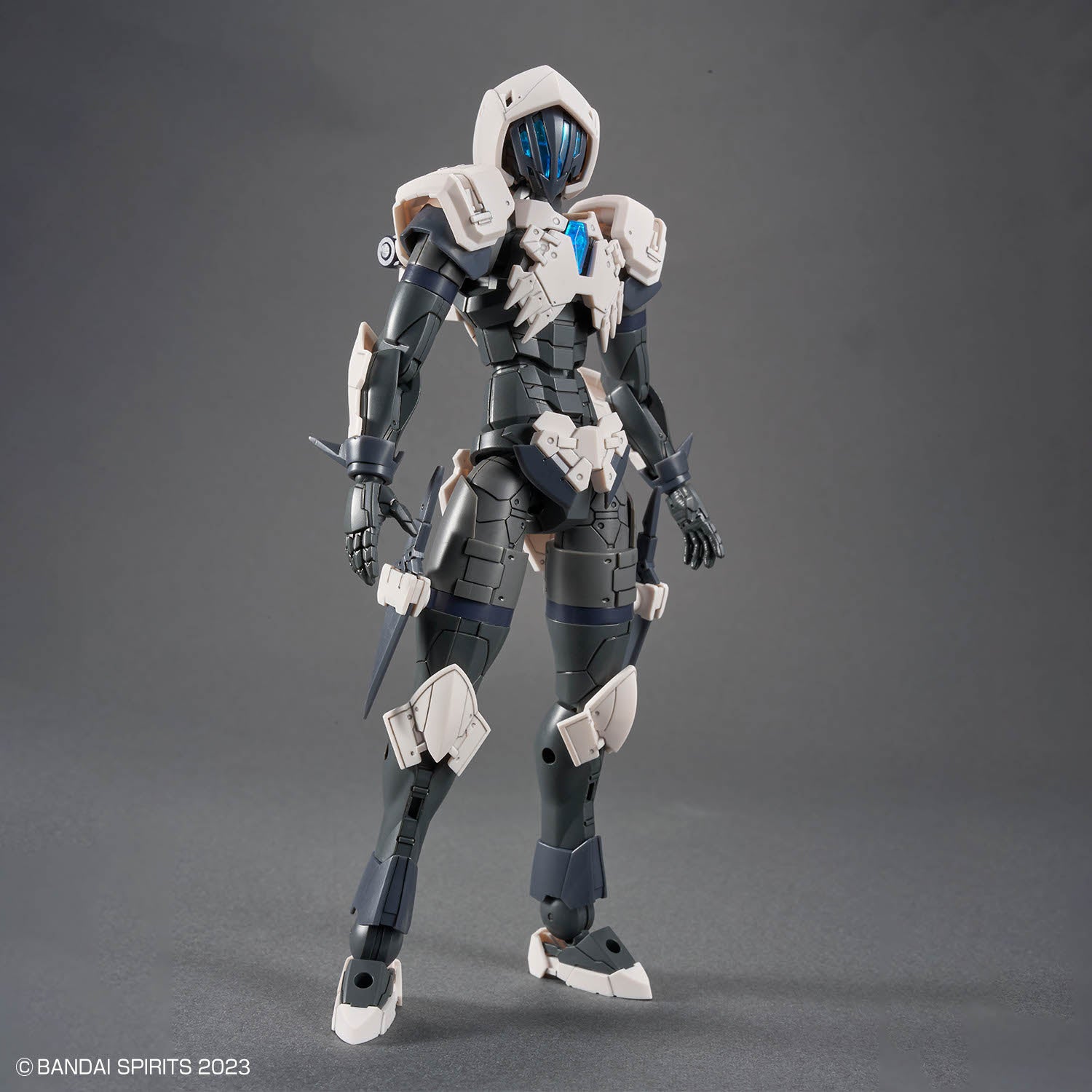 30MF ローザンアサシン30MS オプションパーツセット15ナイトメア 完成