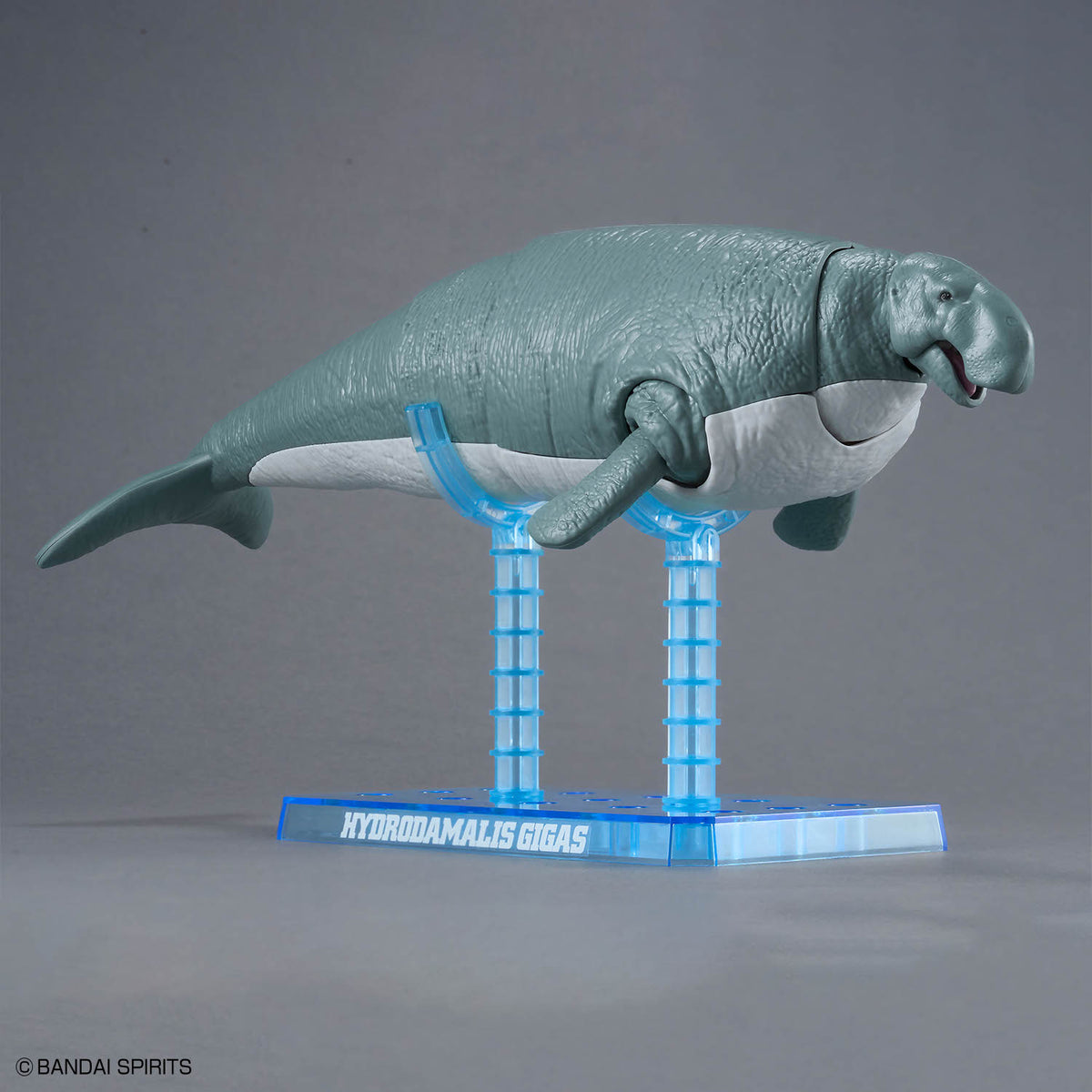 プラノサウルス ステラーカイギュウ