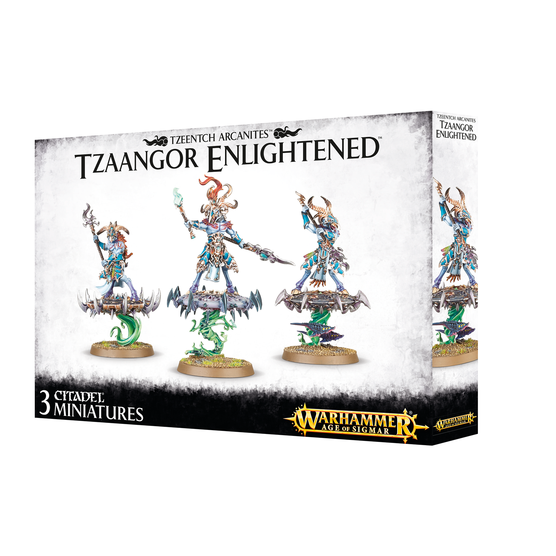 DISCIPLES OF TZEENTCH: TZAANGOR ENLIGHTENED