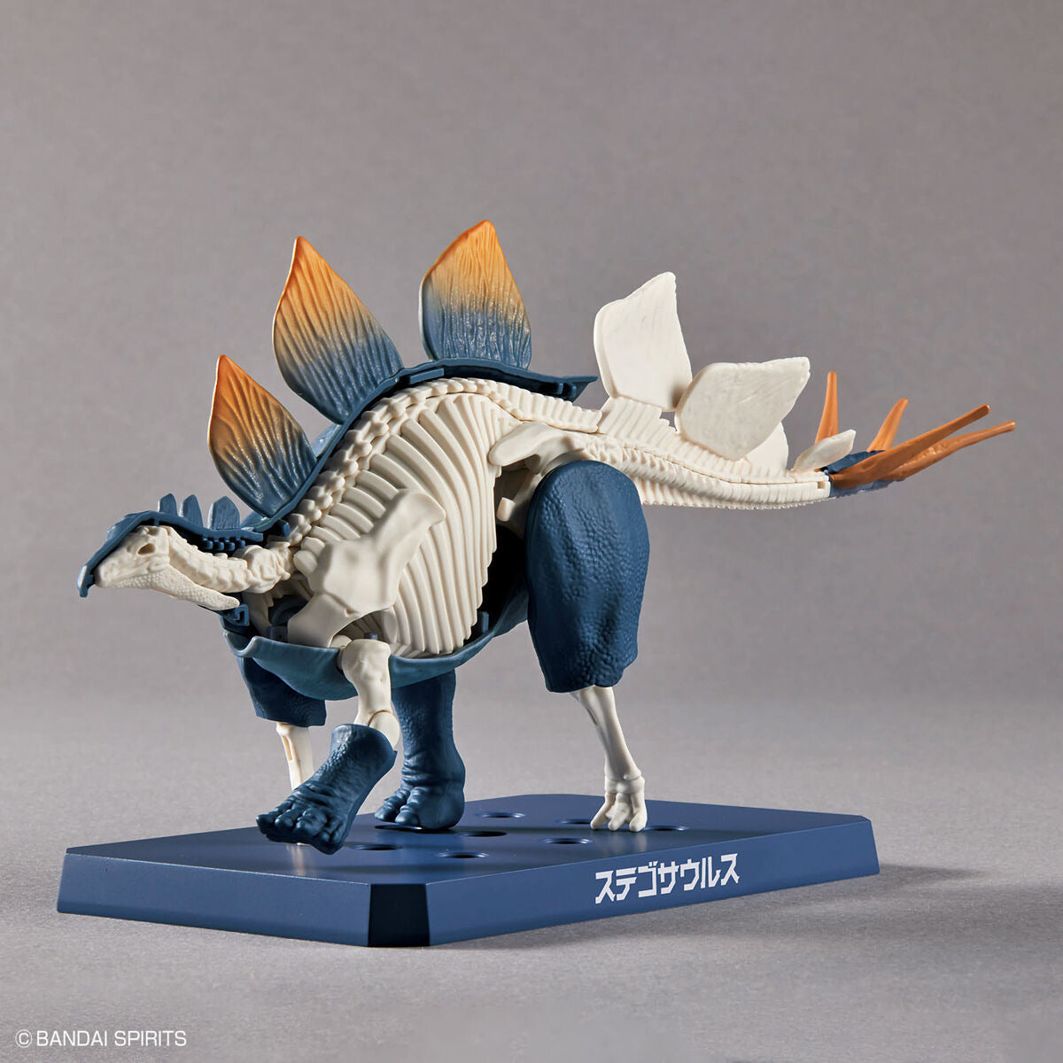 プラノサウルス ステゴサウルス